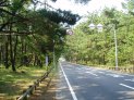 何故かこういう道のある風景を撮るのが好き